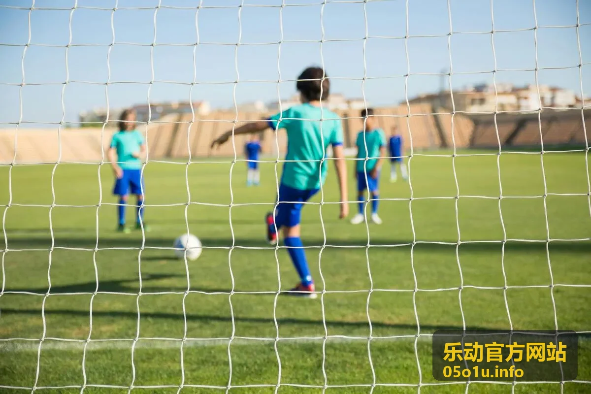 乐动官方网站官方排课计划